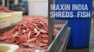 Fish waste shredder, Fish bone shredder, #Fishheadshredder, Fine Bone shredding, Fish Head crushing,