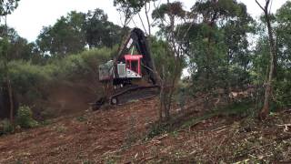 Copy of Timber Pro Mechanical Mulcher