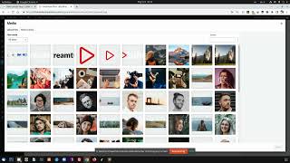 StreamTube - Custom Image and Video Ad