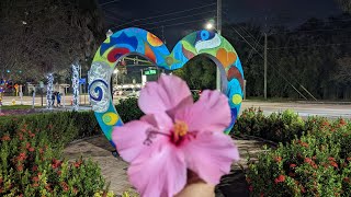 Journey Through The Christmas Lights 2022 #christmas #florida #holidays