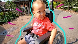 LOOK WHO comes to help!!! | Learning from a wheelchair friend