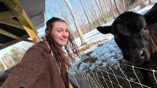 It Didn’t Feel This Cold Yesterday | Winter Milking on the Homestead