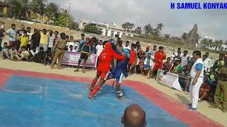 Combat Sambo