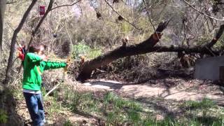 Orestimba Archers Crazy Croc - running archery target