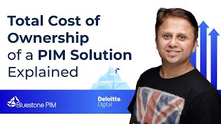 How to Ensure You Don’t Overpay for a PIM Software | PIM Costs & Total Cost of Ownership Explained