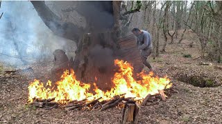 Building a secret shelter inside a tree/chicken-like fireplace/cooking. bushcraft skills