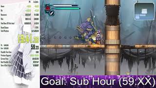 GNY:BitDB any% 1:00:33