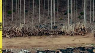 MUZI - SLOW LANE (OFFICIAL VISUALIZER)