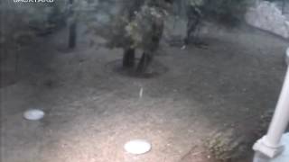 20170402 Storm Arrival Backyard