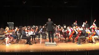 Themes from the Moldau - Dublin Scioto High School Concert Orchestra