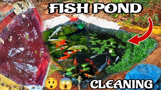 Fish Pond Water Cleaning  ||  How to Clean Fish pond || 