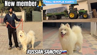 Russian Samoyed Breed da dog agya🙏//Yatra ton ake trali krti simple⛳️