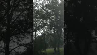Tornado in ivalee Alabama