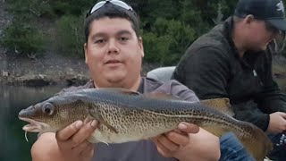 Cod fishing in the Bras D'or Lakes August 24, 2018.