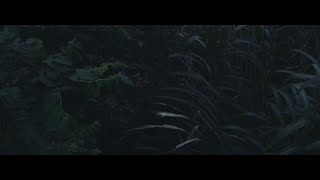 Hidden City (2016 Hong Kong)