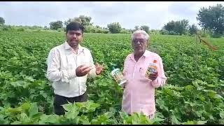 Vestige product कपाशी ला फायदा