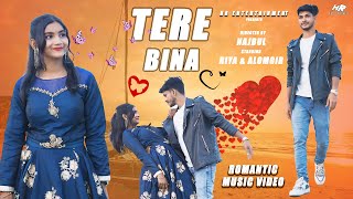 Tere Bina | New Romantic Song | HR Entertainment | Riya | Alomgir