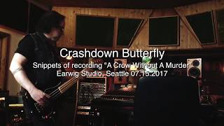 Recording Snippets: Crashdown Butterfly - "A Crow Without A Murder"
