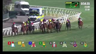 Happy Valley Hongkong 🇭🇰 Horse Racing: Race 5 - Class 4-1200m : January 8, 2025 ( Wednesday)