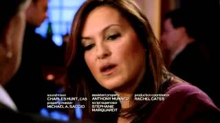 Marcia Gay Harden SVU