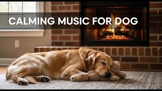 12 Hours of Calming Music for Dogs [LIVE] 🐾 Relieve Separation Anxiety & Promote Sleep 😌