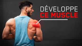 Comment développer (enfin) l'arrière d’épaule