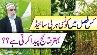 Herbicide Guide for Upcoming Crops in Pakistan || Crop Reformer