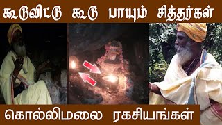 கொல்லிமலை ரகசியம் | Kollimali Secrets | Kolli Hills | கொல்லிமலை சித்தர்கள் குகை | உளவுப் பார்வை