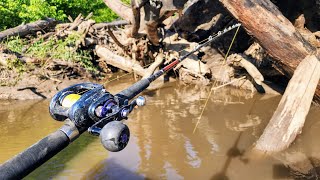 LIVE BAIT Fishing Brushpiles!! (Kayak Fishing)