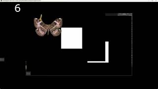 Dragging and Dropping in TouchDesigner