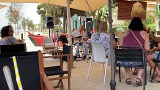 Lluis Navarro - Sultans of swing -Live