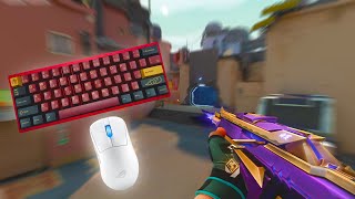 1600x1024 True Stretch + 540Hz