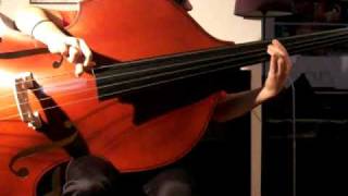 Bass lessons part 5 - Richard Meyask