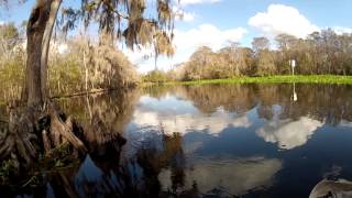 How to catch a bass!