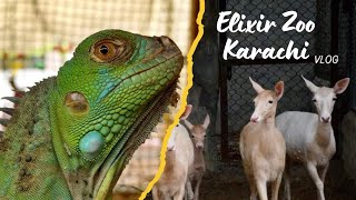 💥Elixir Zoo Karachi 💫Vlog
