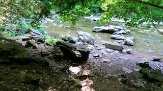 Elora Gorge Ontario Canada 35c or 95f