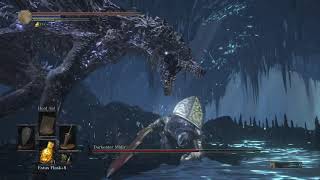Hit the big mean dorgon