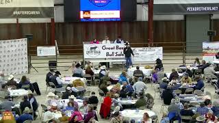Great Basin Bull Sale, Fallon, NV