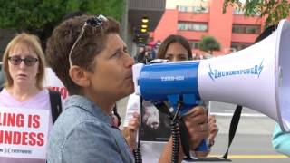 The Daring Vegan Speaks Out !