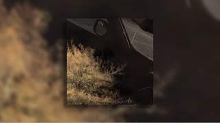 Division One: The Beginning of the Fall - EP