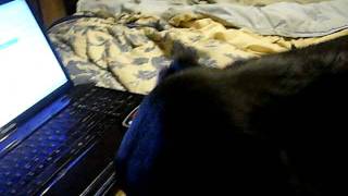 Sydney watching Jayden's video