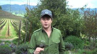 Episode 45: Zinfandel, the Brawny BBQ Virtuoso - Drink Bravely with Mark Oldman