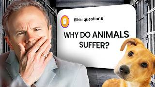Why Does God Allow Animals to Suffer?