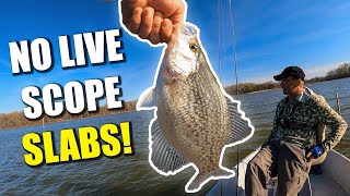 Catch SPRING Crappie NO LIVE SCOPE NEEDED! J Percy Priest Reservoir