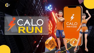 Calo Metaverse | INTO THE METAVERSE