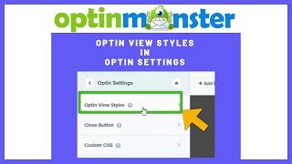 Optin view styles in optin settings - OptinMonster