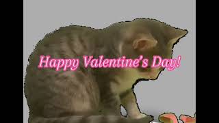 Fancy in confetti  / happy Valentine’s Day! / music 3008 meme