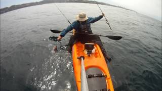 Mendo Coast, Part 1