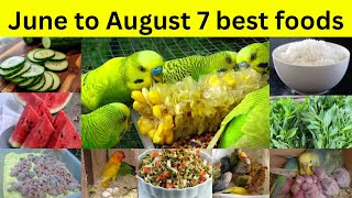 June to August foods for all birds | Budgies,Lovebirds summers food list | Mujeeb Birds Breeding