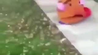 potato